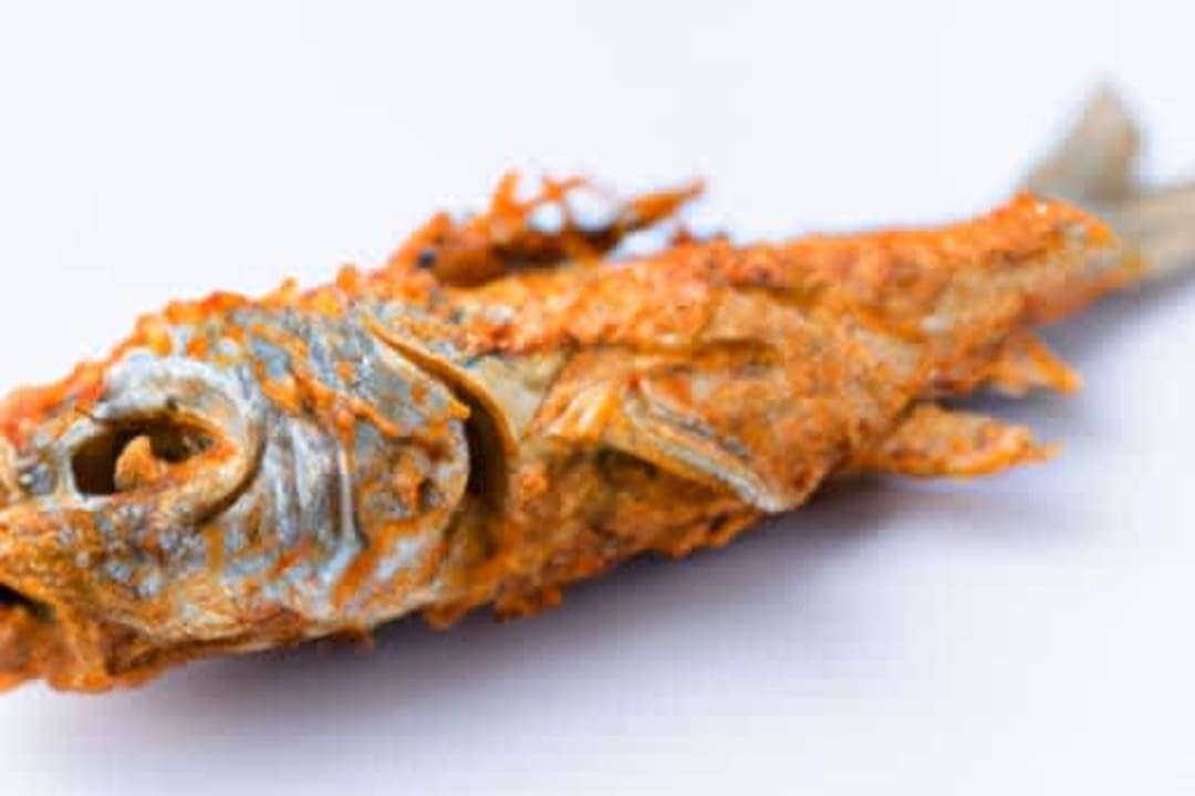 Rohu Fish Fry
