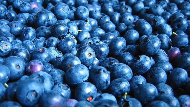Blueberries