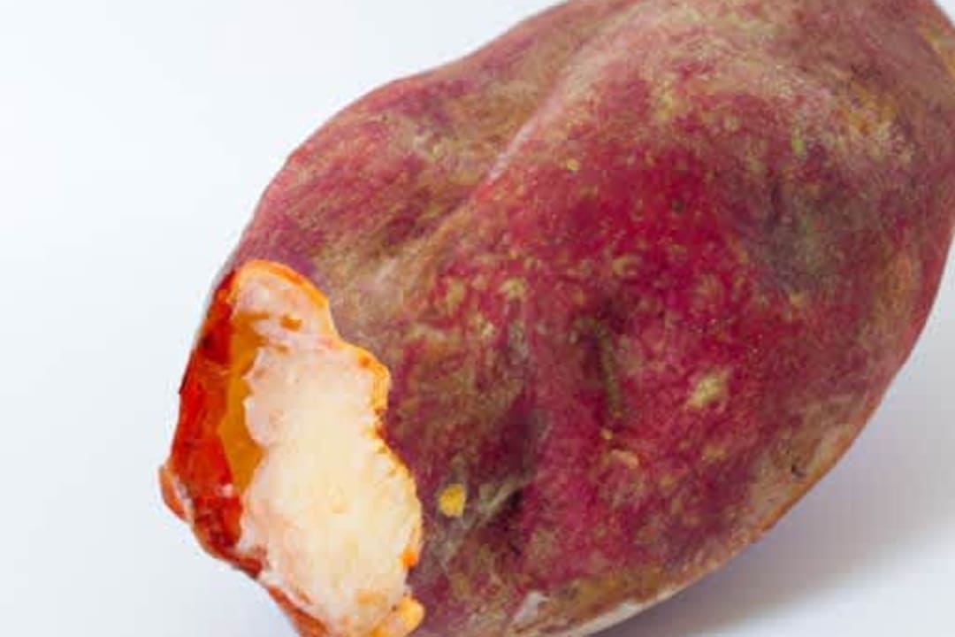 Boiled Sweet Potato
