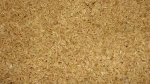 Uncooked White Rice