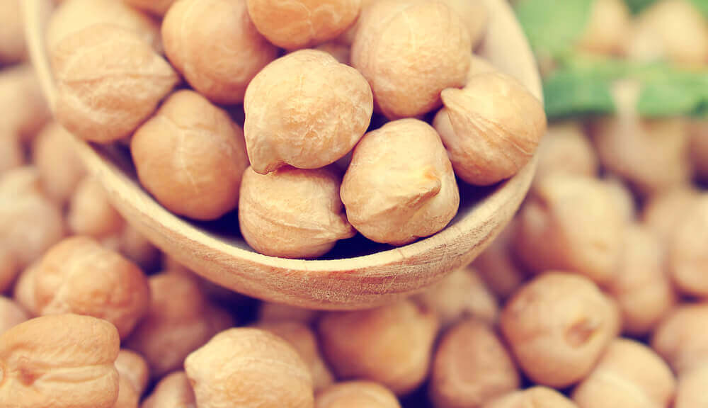 Kacang Kuda