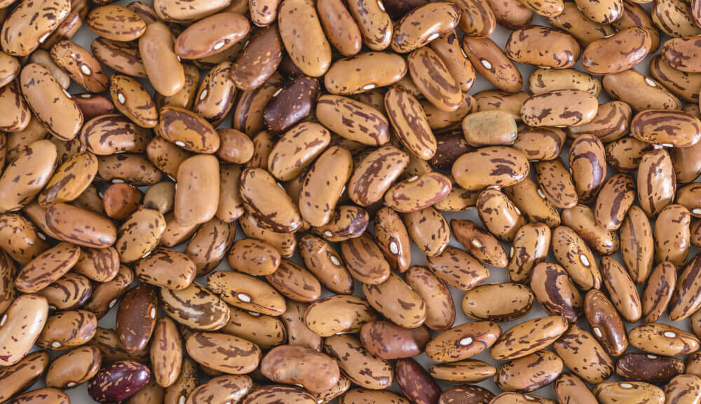 Kidney Beans (Rajma)