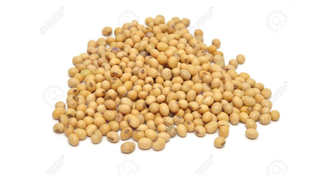 Raw Soybean