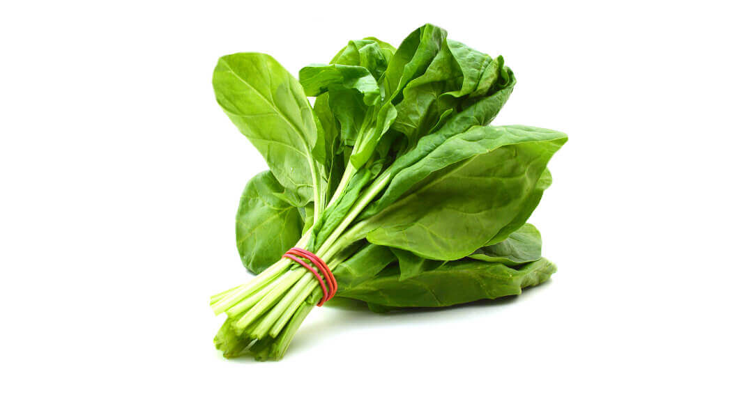 Bayam