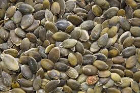 Pumpkin Seed